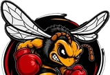 The Intense Boxing bee